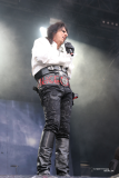 The Hollywood Vampires